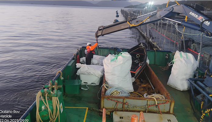 naviera-jaramillo_trabajos-2