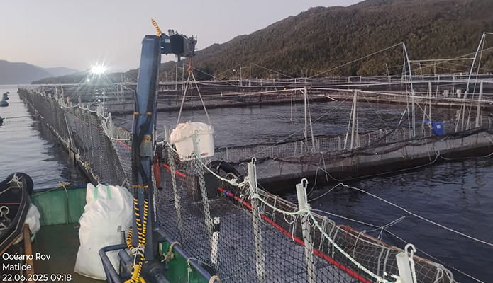 naviera-jaramillo_trabajos-6