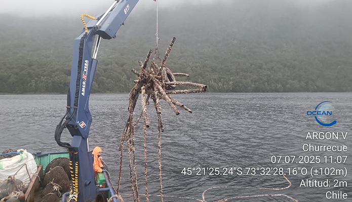 trabajos-naviera-jaramillo_3